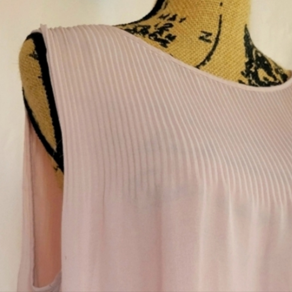 Max Studio Blush Semi-sheer Top